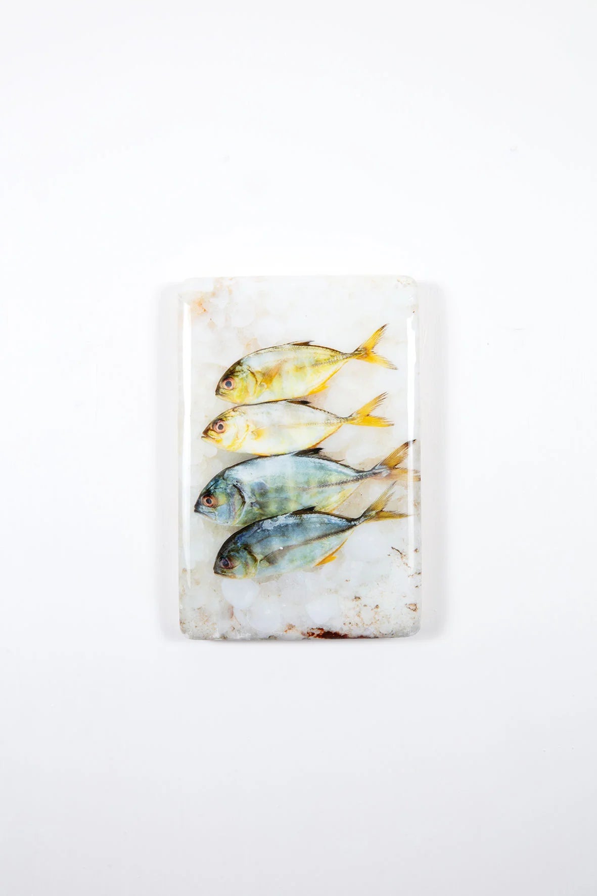 StigerWoods wooden tile Four Small Yellow Trevallies