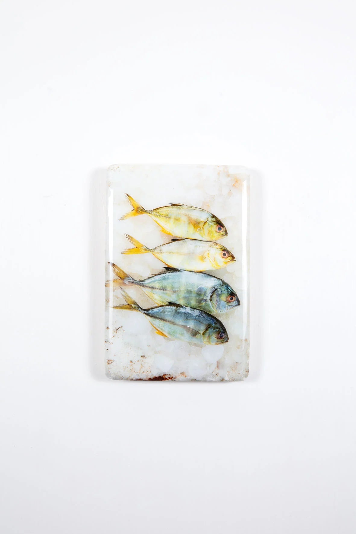 StigerWoods wooden tile Four Small Yellow Trevallies