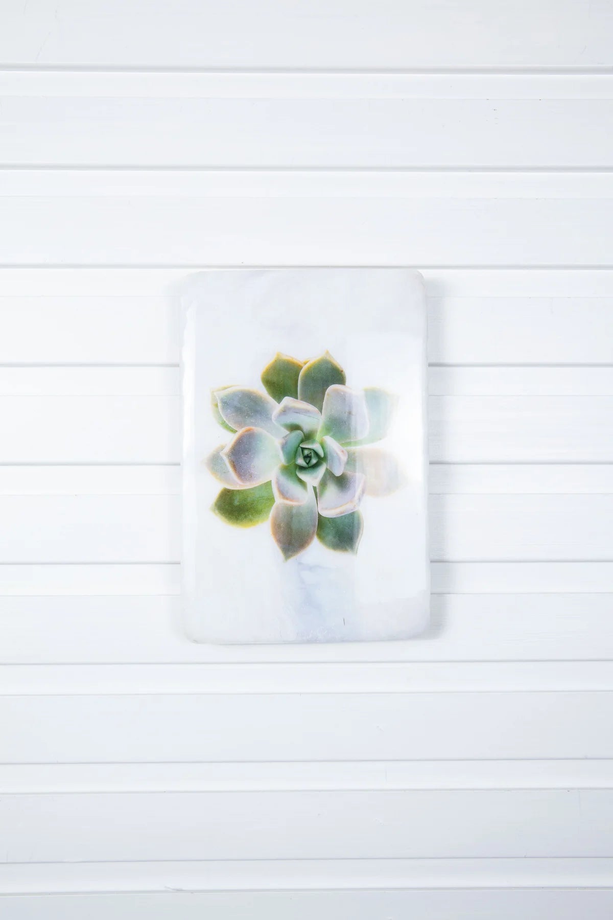 StigerWoods wooden tile Ghostplant