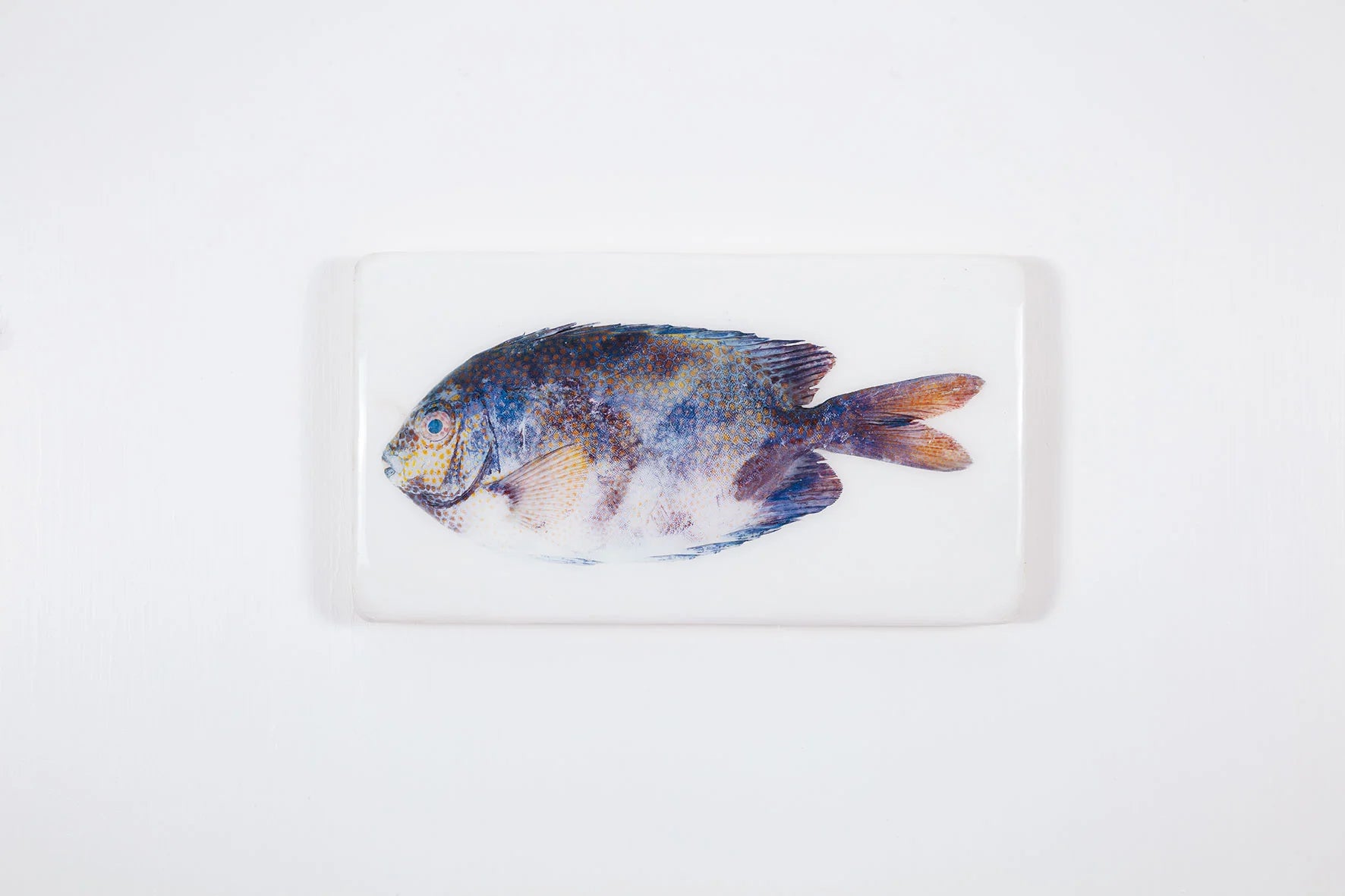 StigerWoods wooden tile Gold-Spotted Rabbitfish