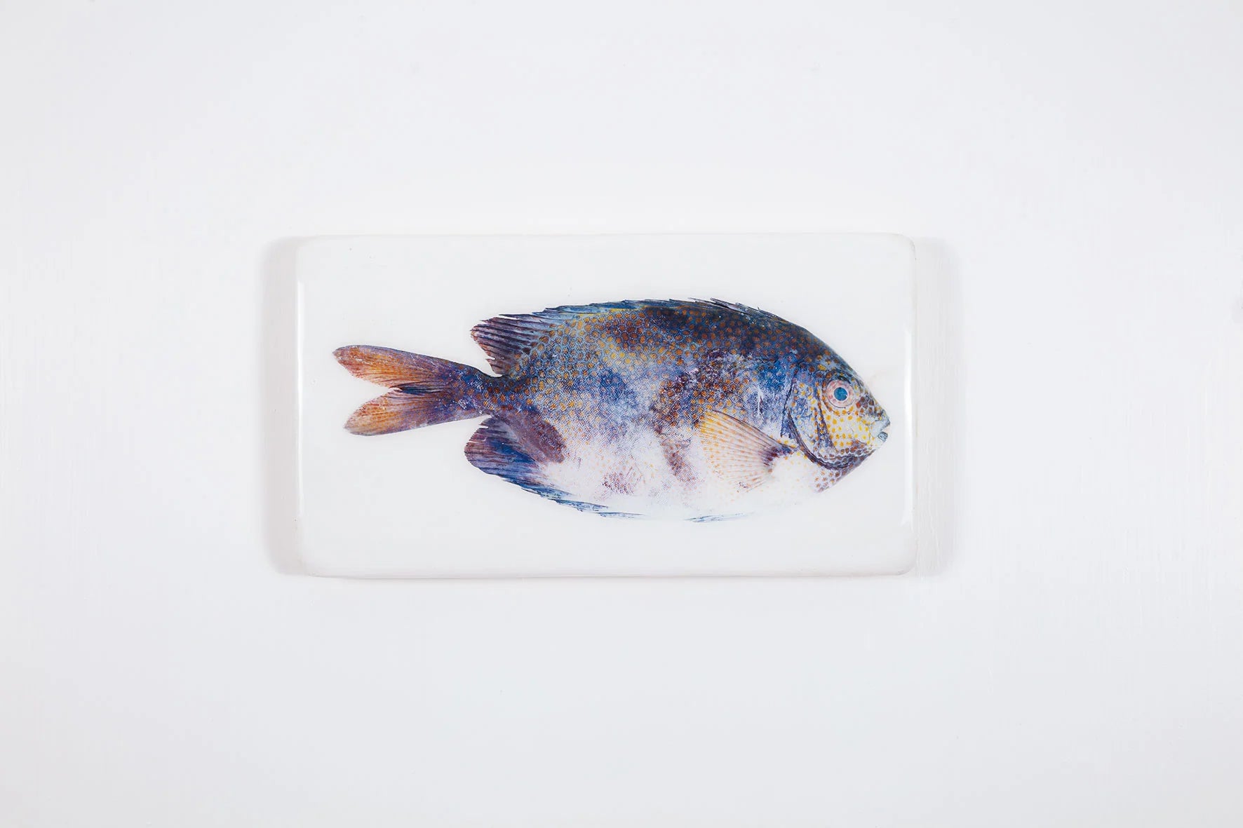 StigerWoods wooden tile Gold-Spotted Rabbitfish