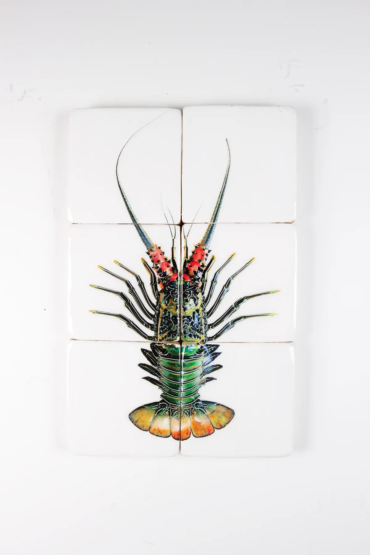 StigerWoods wooden tile Green Spiny Lobster