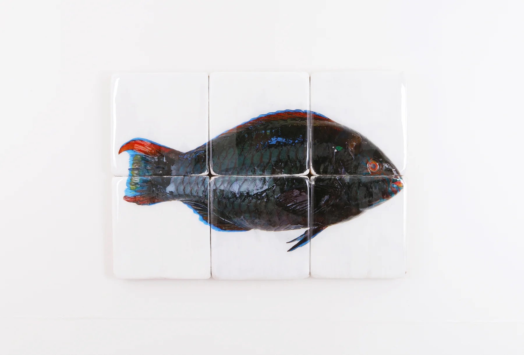 StigerWoods wooden tile Dark Green Parrot Fish