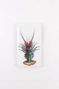 StigerWoods wooden tile Green Spiny Lobster