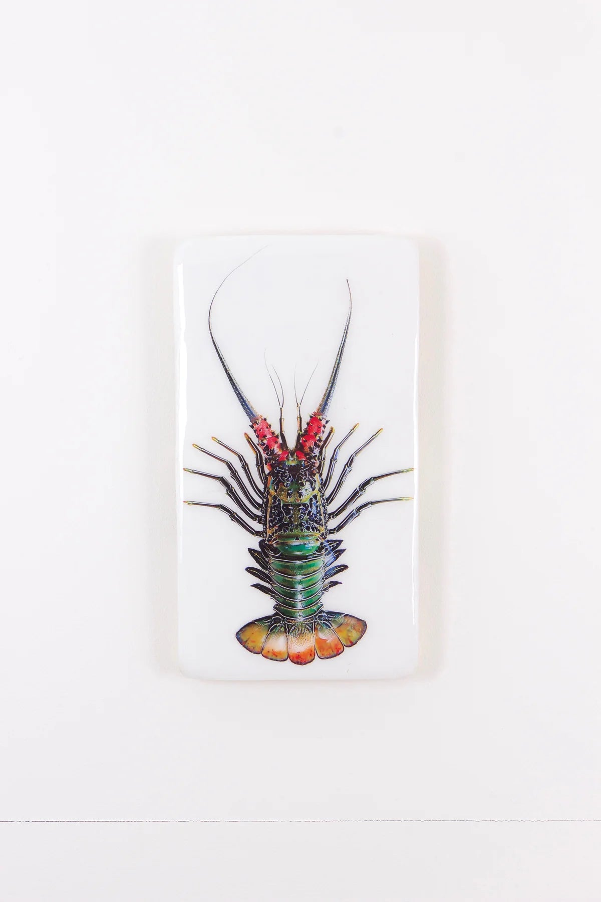 StigerWoods wooden tile Green Spiny Lobster