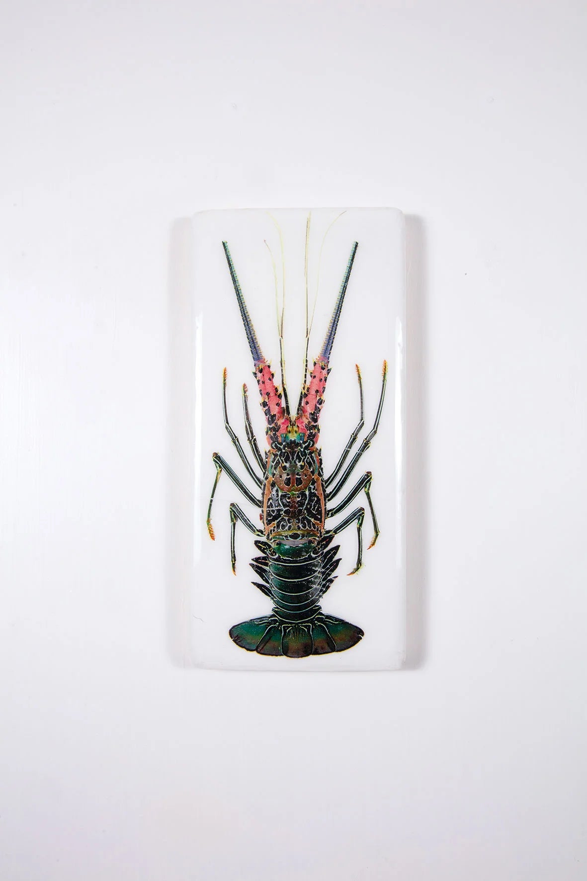 StigerWoods wooden tile Green Spiny Rock Lobster