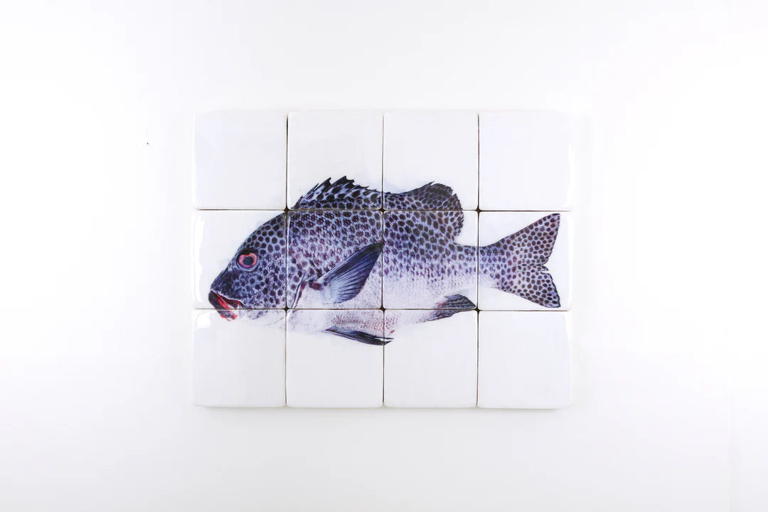 StigerWoods wooden tile Harlequin Sweetlips