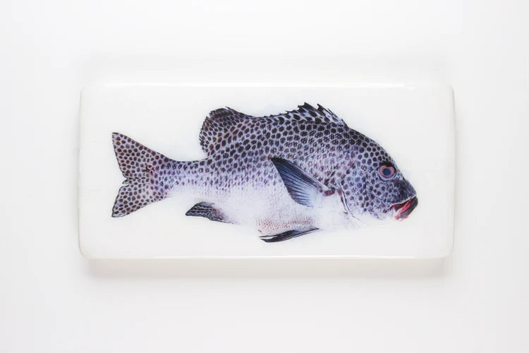 StigerWoods wooden tile Harlequin Sweetlips