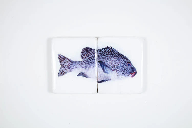StigerWoods wooden tile Harlequin Sweetlips