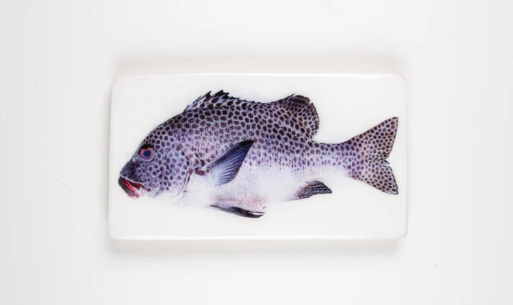 StigerWoods wooden tile Harlequin Sweetlips