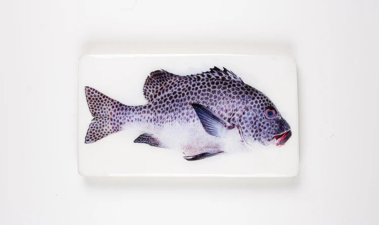 StigerWoods wooden tile Harlequin Sweetlips