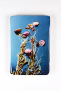StigerWoods wooden tile Helichrysum