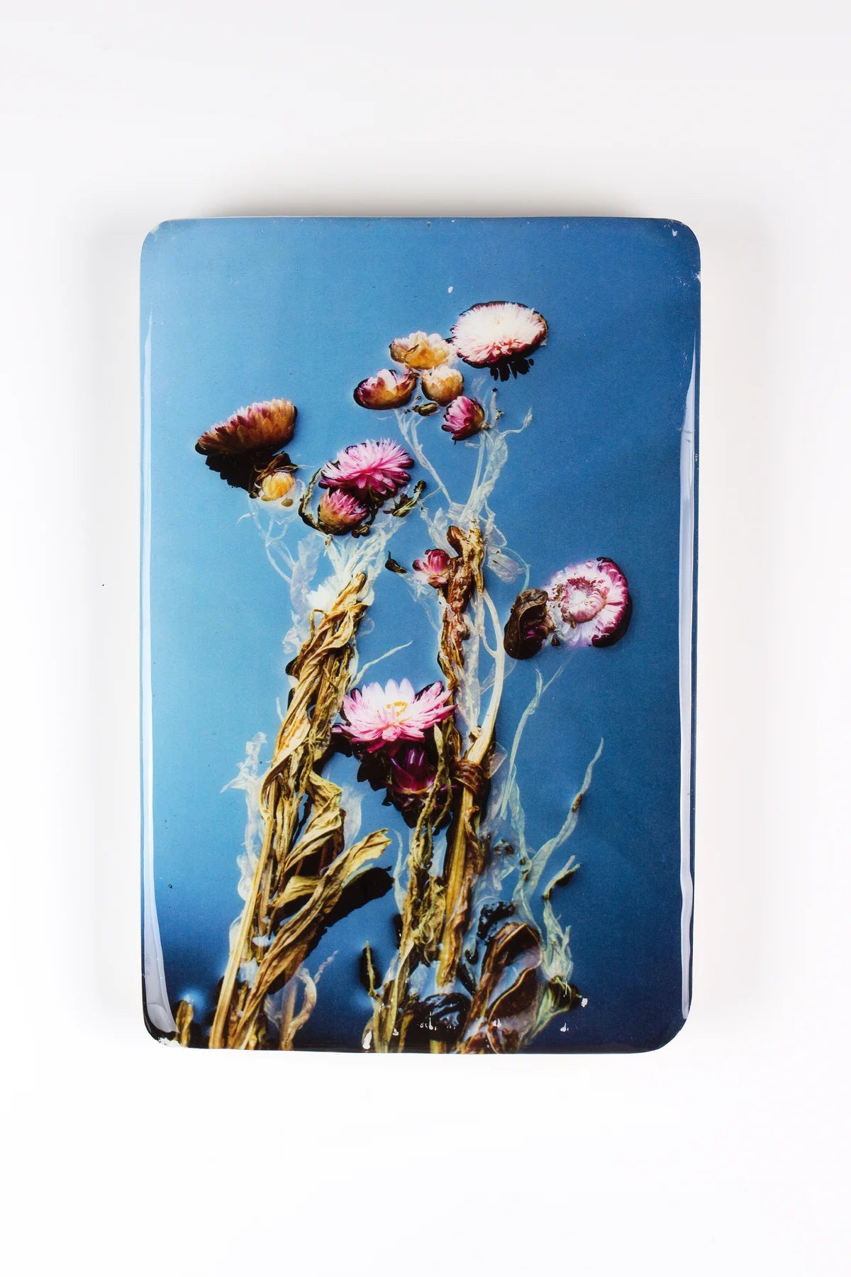 StigerWoods wooden tile Helichrysum