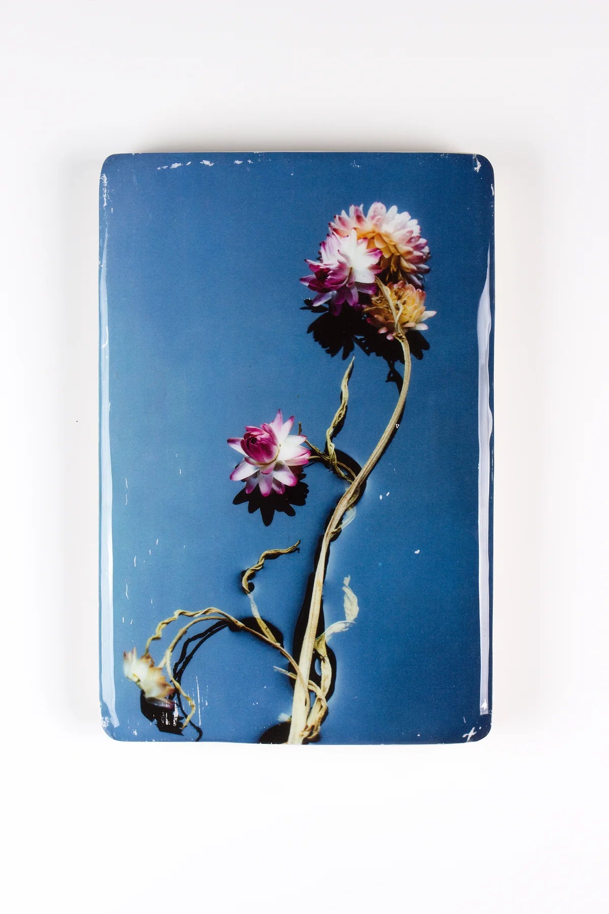 StigerWoods wooden tile Helichrysum