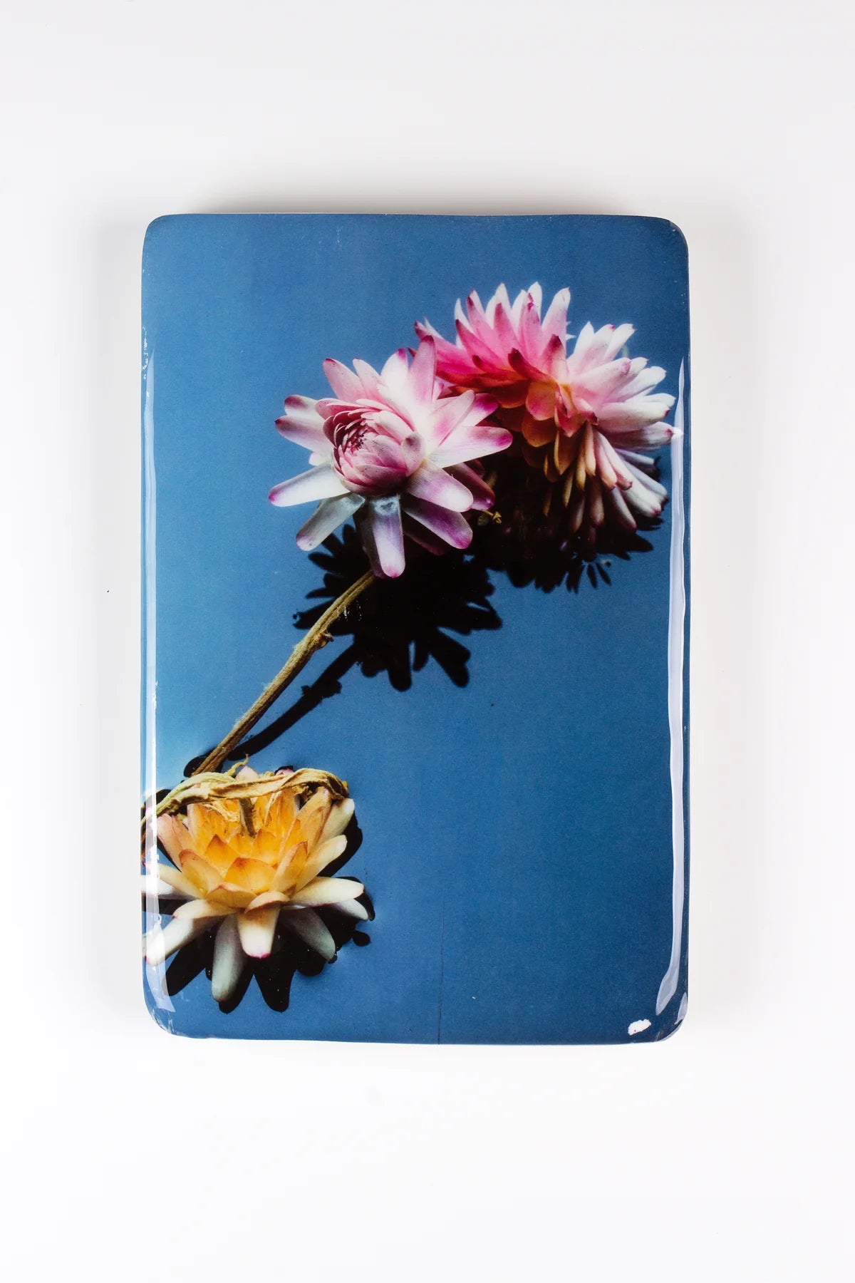 StigerWoods wooden tile Helichrysum