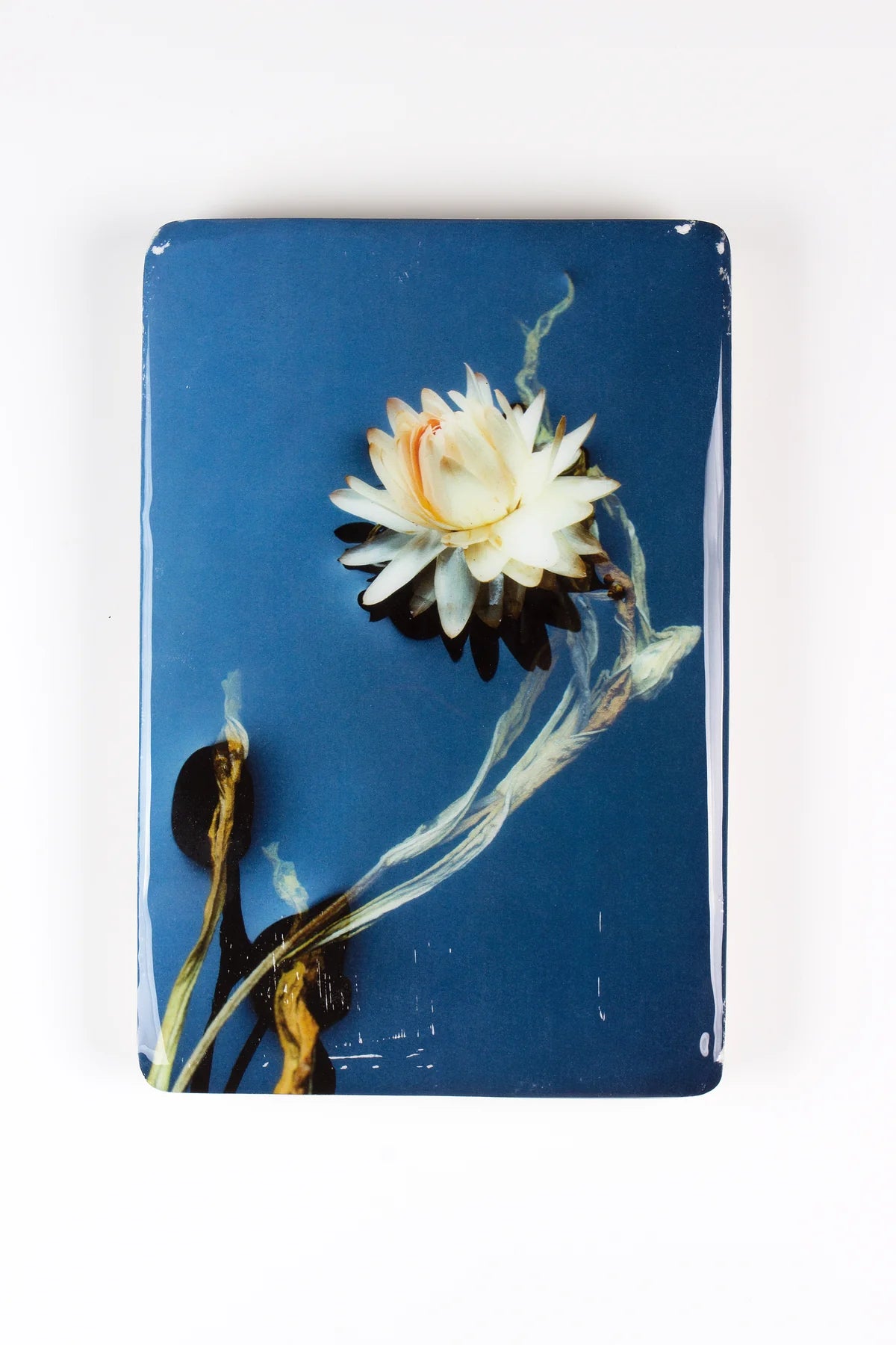 StigerWoods wooden tile Helichrysum