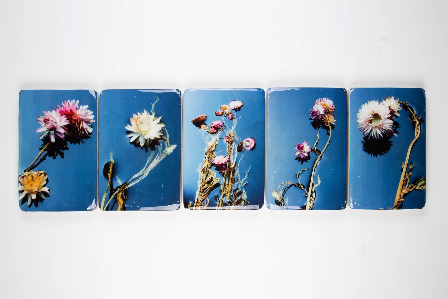 StigerWoods wooden tile Helichrysum