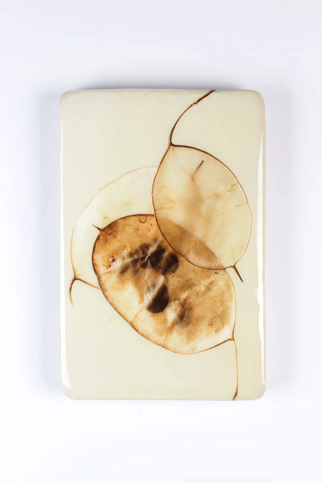 StigerWoods wooden tile Honesty Plant