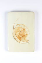 StigerWoods wooden tile Honesty Plant
