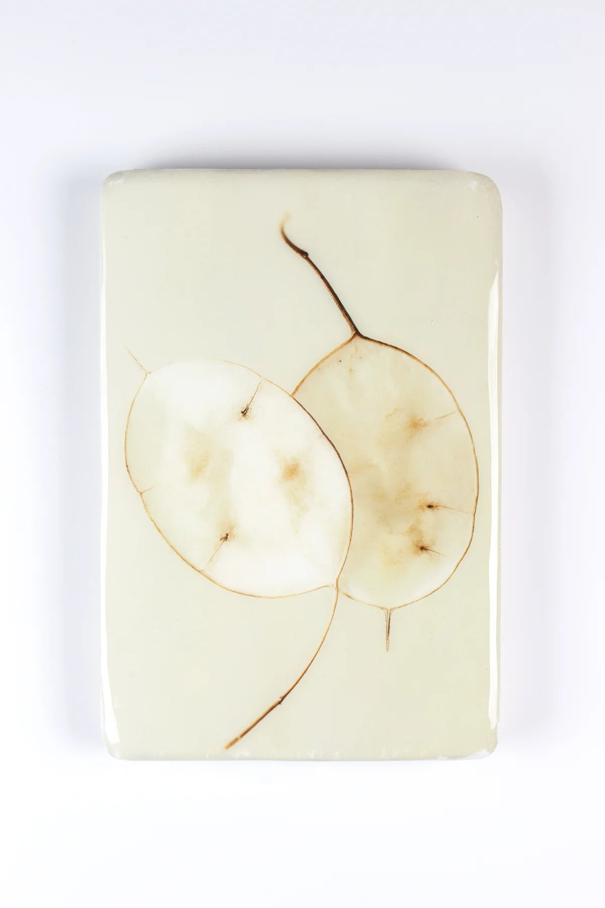 StigerWoods wooden tile Honesty Plant