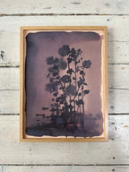 TinyStories Poster met Lijst - Chocolate Flowers