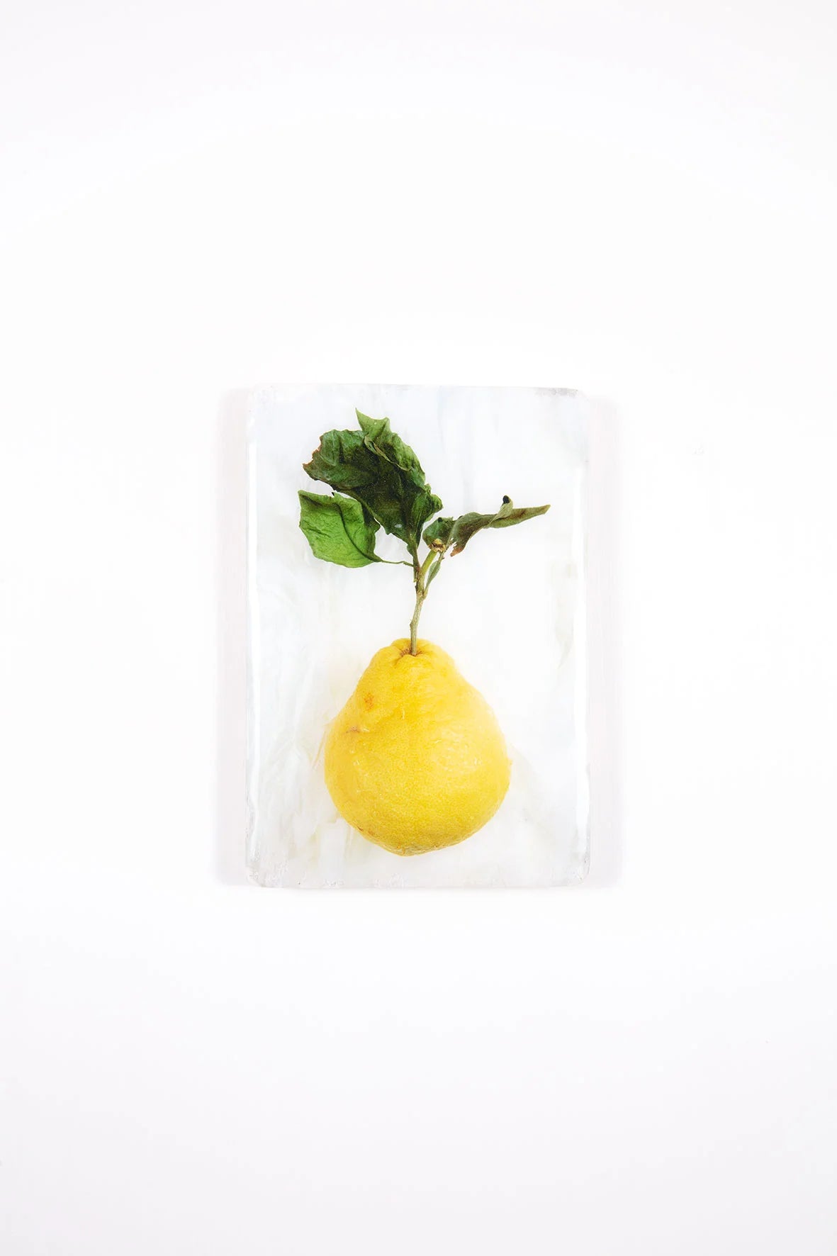 StigerWoods wooden tile King Lemon