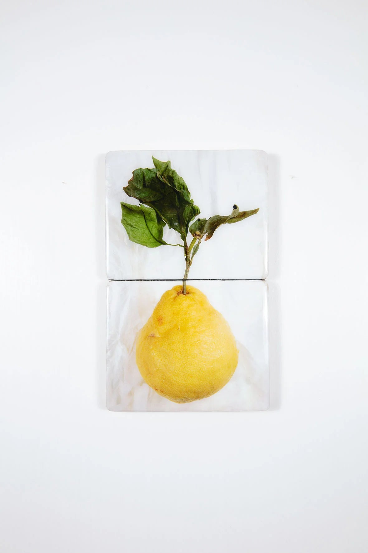 StigerWoods wooden tile King Lemon