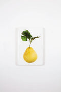StigerWoods wooden tile King Lemon on White