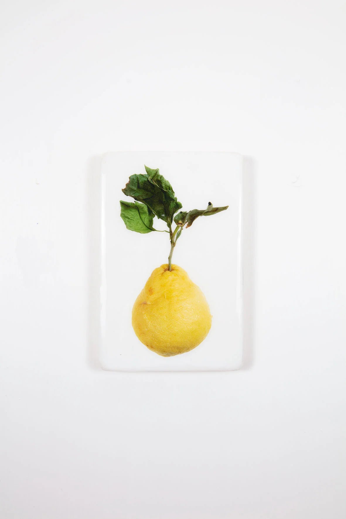 StigerWoods wooden tile King Lemon on White