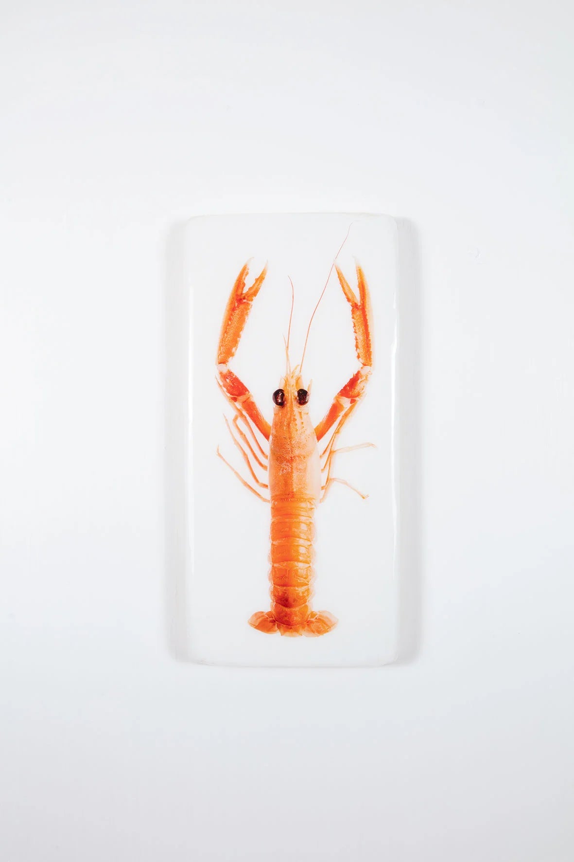 StigerWoods wooden tile Langoustine Top