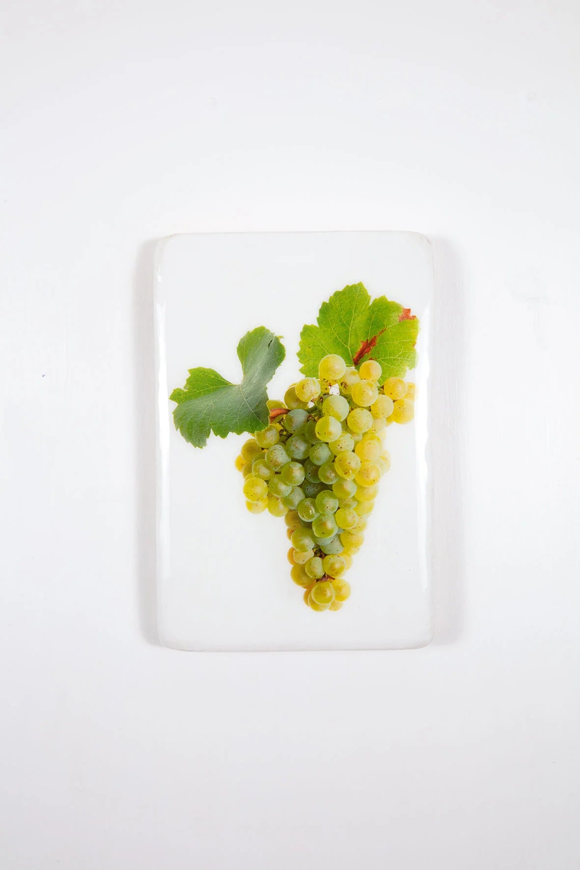 StigerWoods wooden tile Languedoc-Roussillon Clos Teisseire Chardonnay
