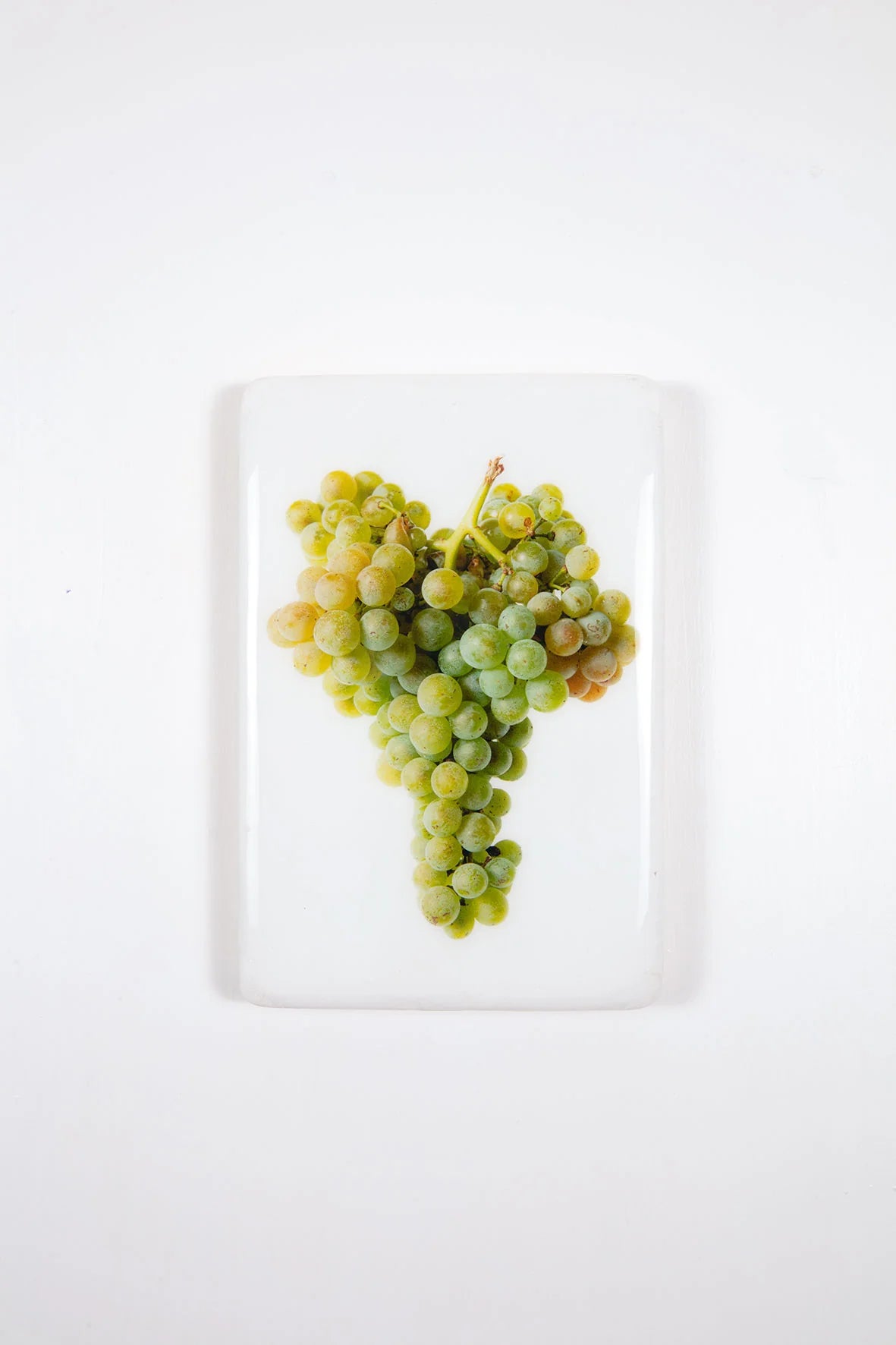 StigerWoods wooden tile Languedoc-Roussillon Clos Teisseire Chenin