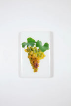 StigerWoods wooden tile Languedoc-Roussillon Clos Teisseire Chardonnay