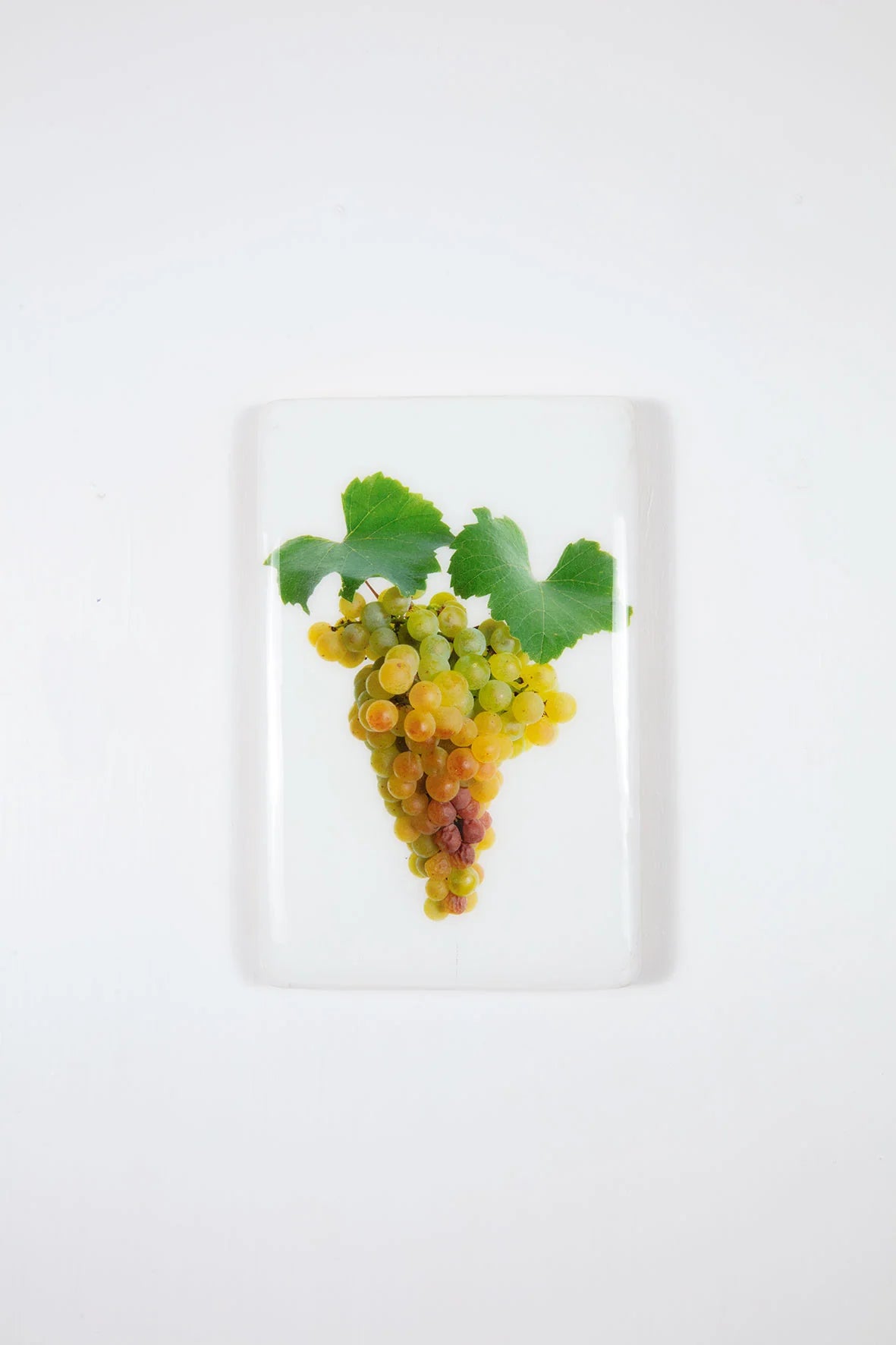 StigerWoods wooden tile Languedoc-Roussillon Clos Teisseire Chardonnay
