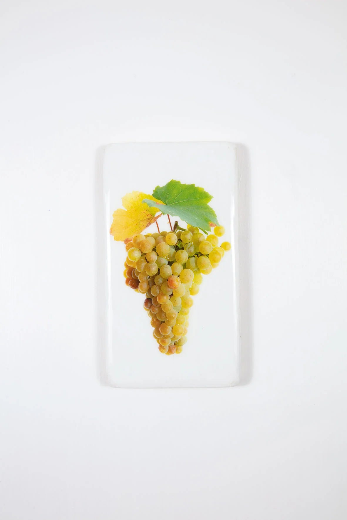 StigerWoods wooden tile Languedoc-Roussillon Clos Teisseire Chardonnay