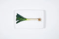 StigerWoods wooden tile Leek