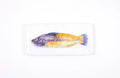 StigerWoods wooden tile Lipfish