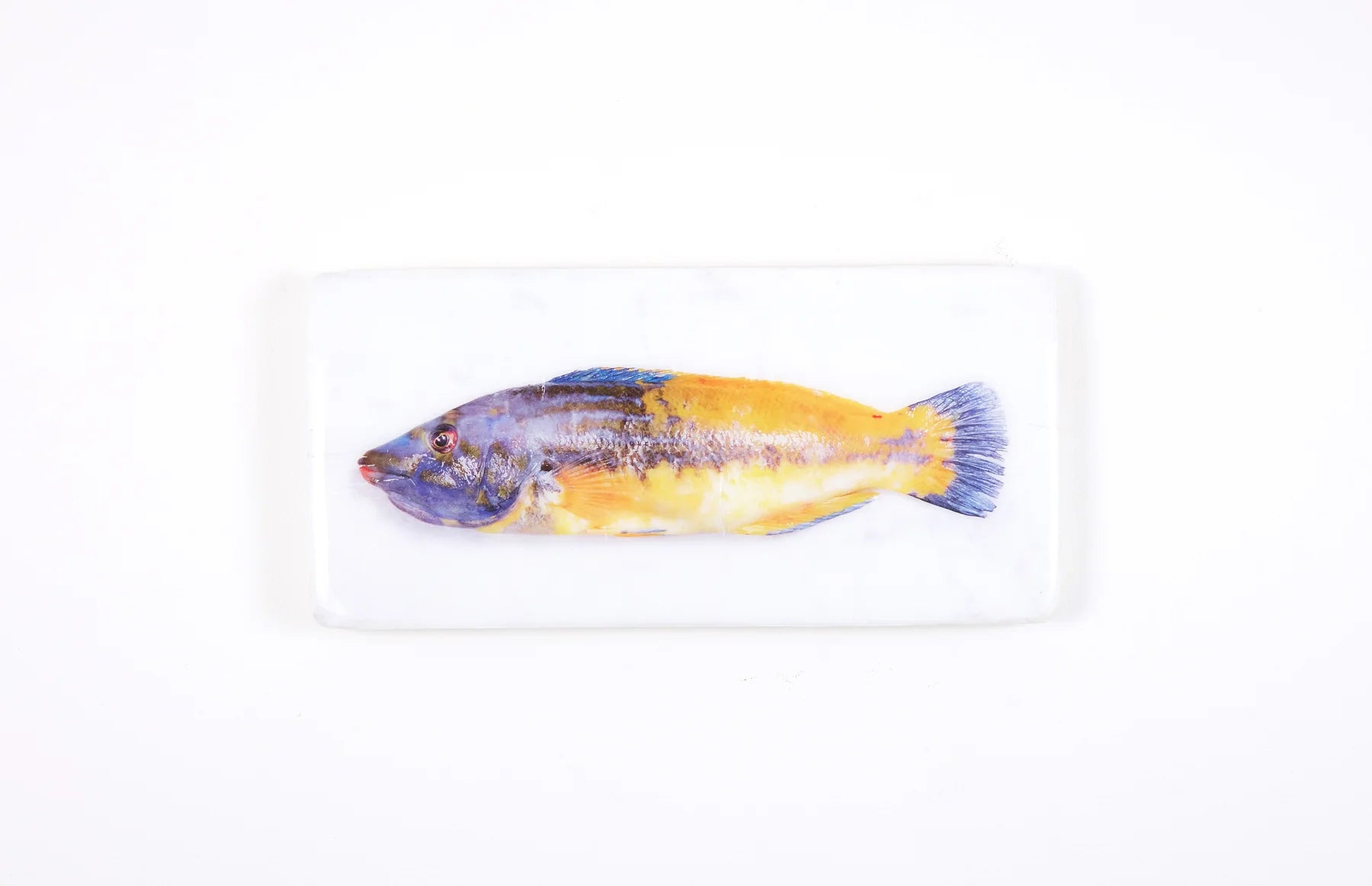 StigerWoods wooden tile Lipfish