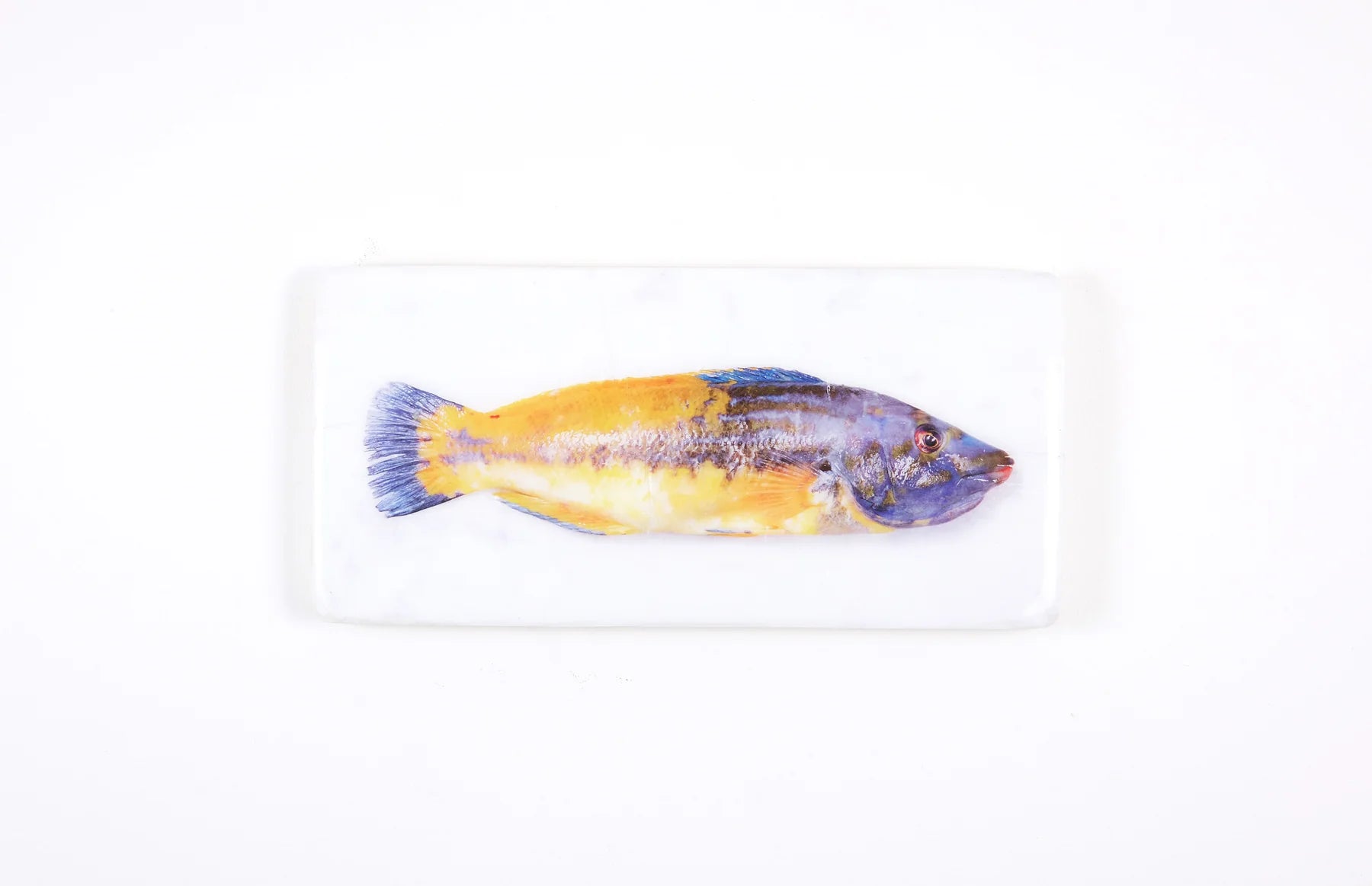 StigerWoods wooden tile Lipfish