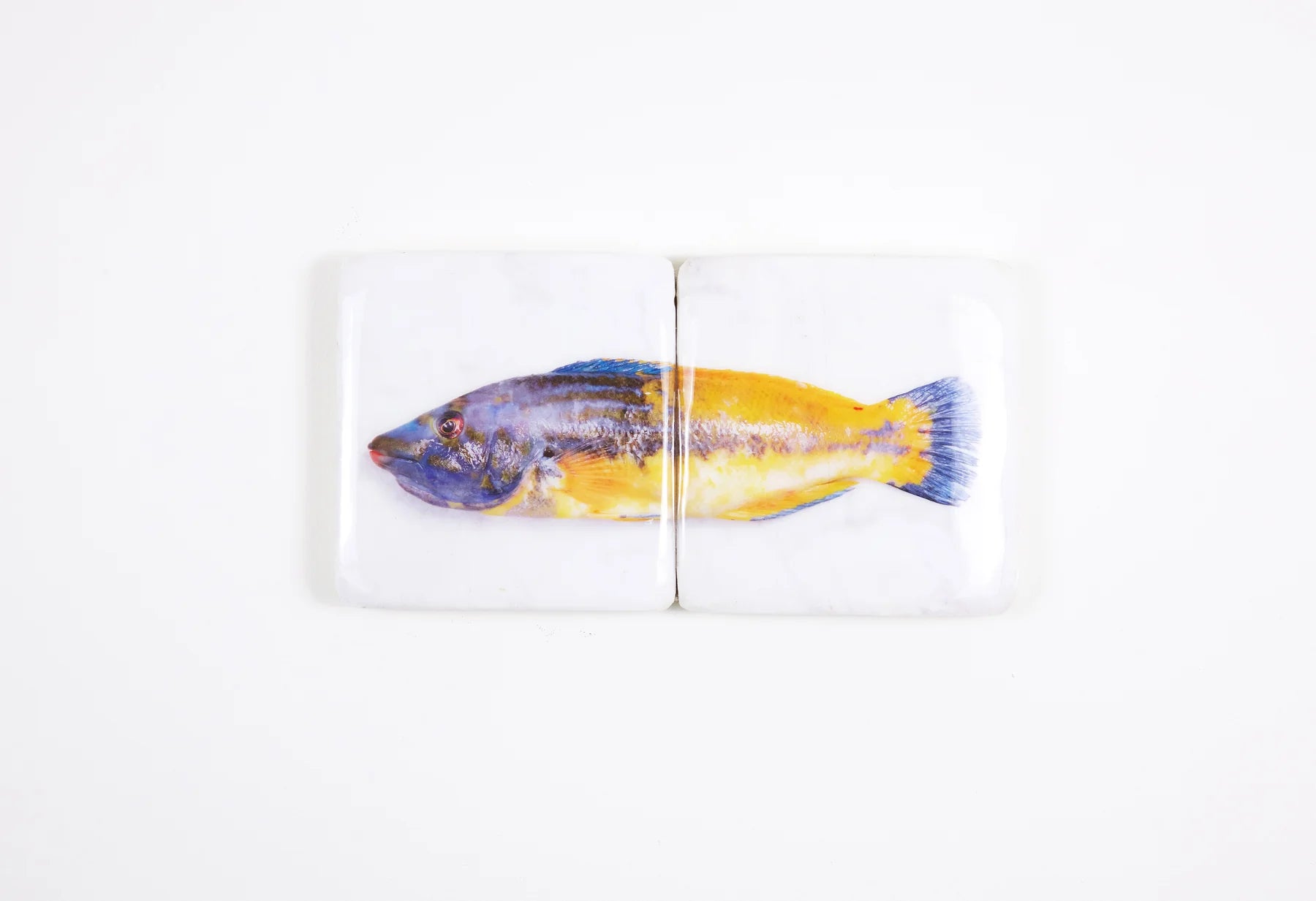 StigerWoods wooden tile Lipfish