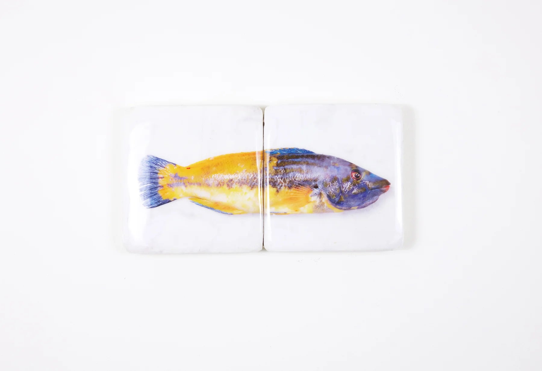 StigerWoods wooden tile Lipfish