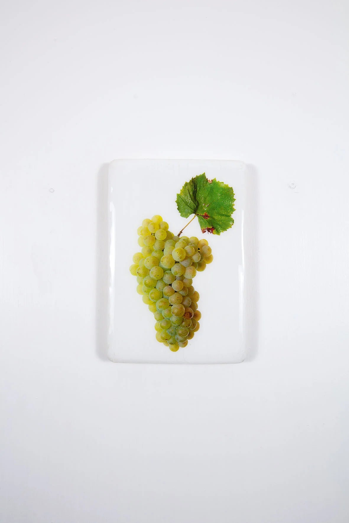 StigerWoods wooden tile Loire Valley Terres de Roa Chardonnay