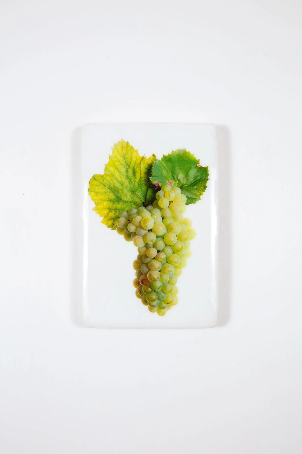 StigerWoods wooden tile Loire Valley Terres de Roa Chardonnay