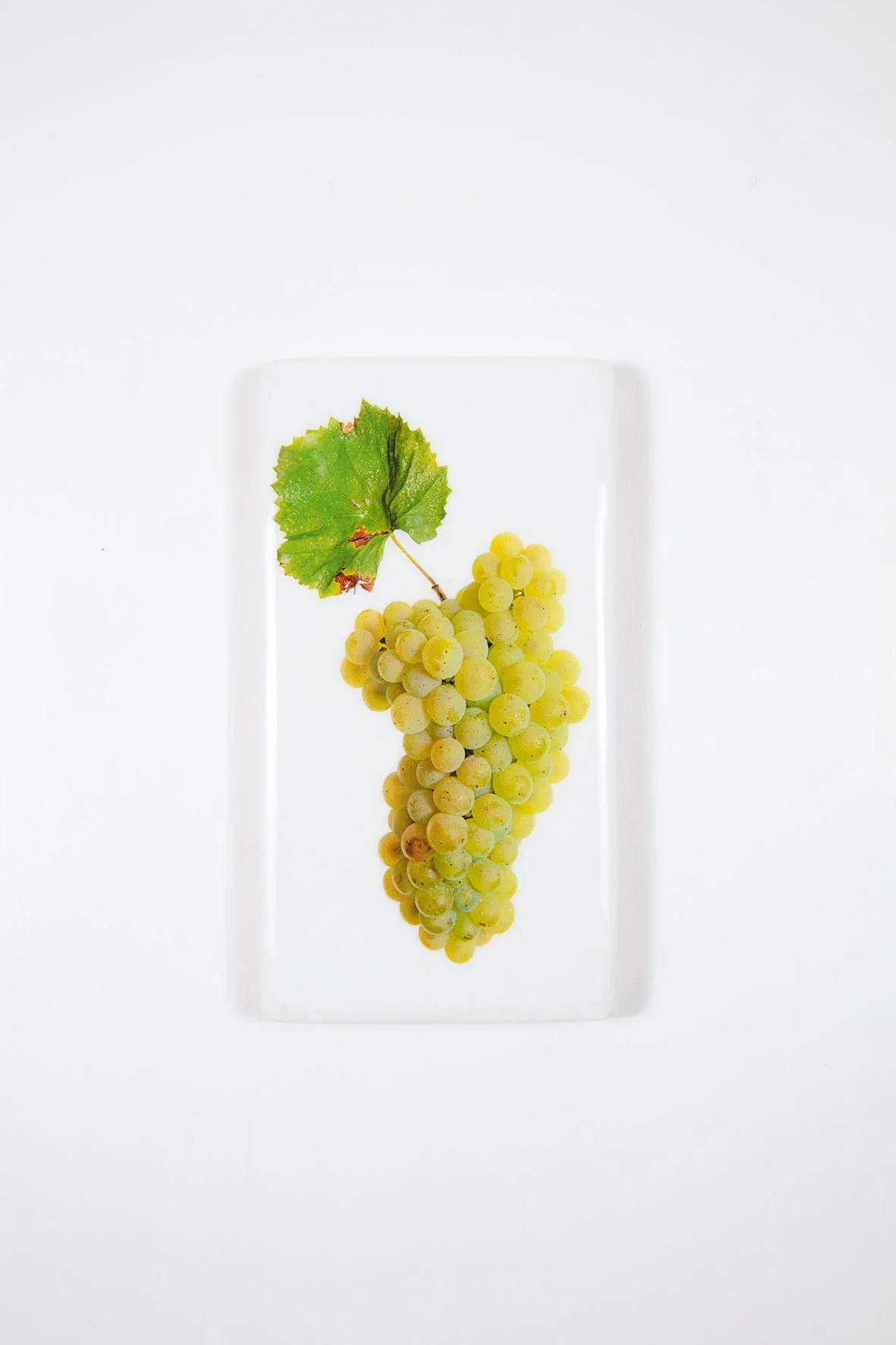 StigerWoods wooden tile Loire Valley Terres de Roa Chardonnay