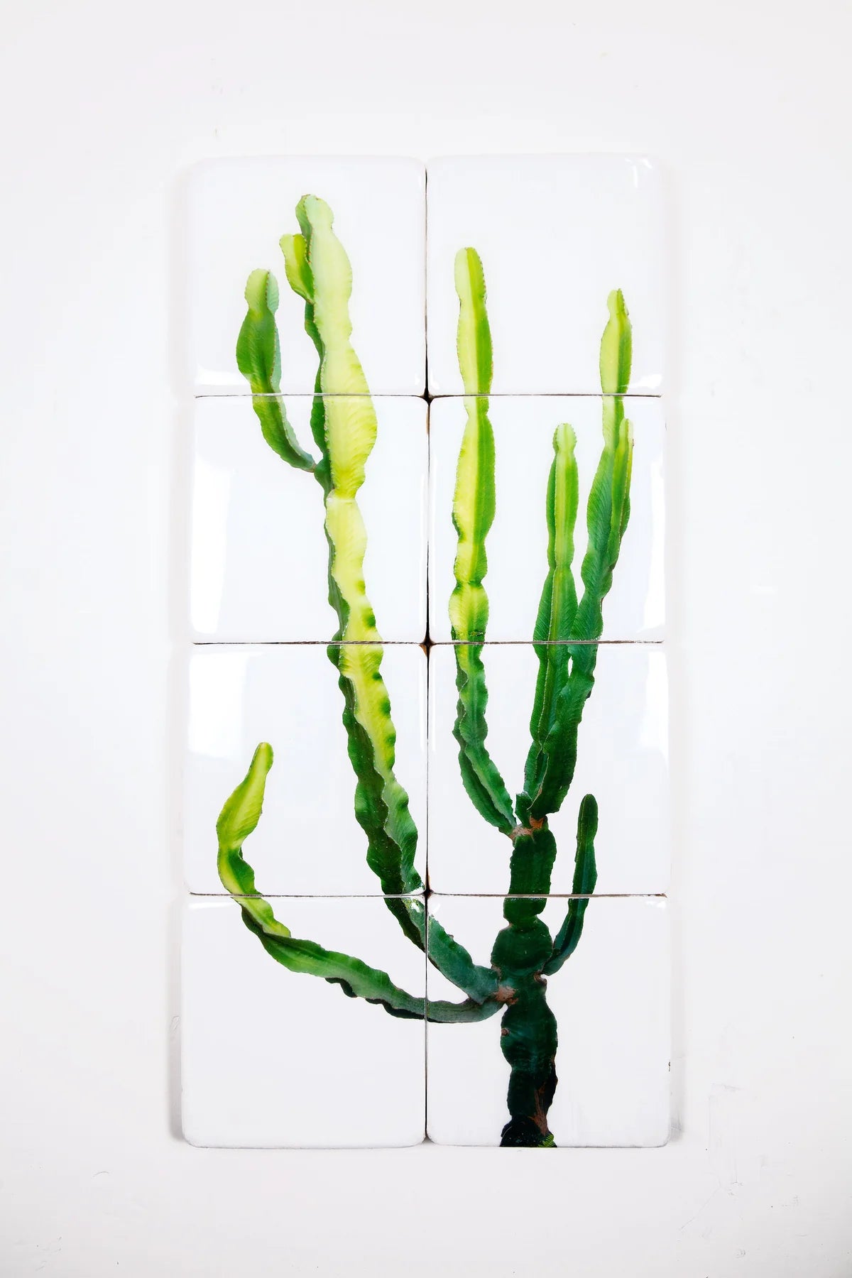 StigerWoods wooden tile Mallorcian Cowboy Cactus
