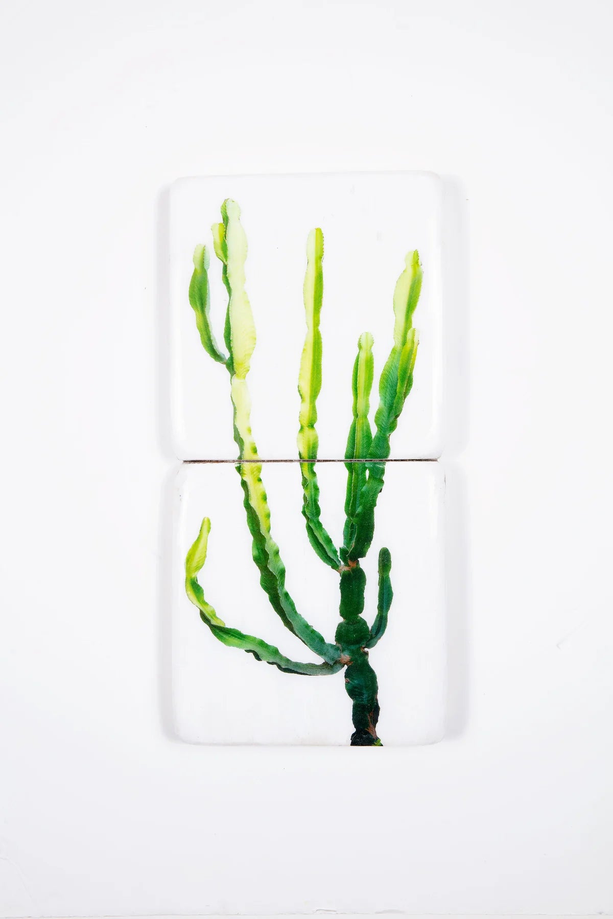 StigerWoods wooden tile Mallorcian Cowboy Cactus