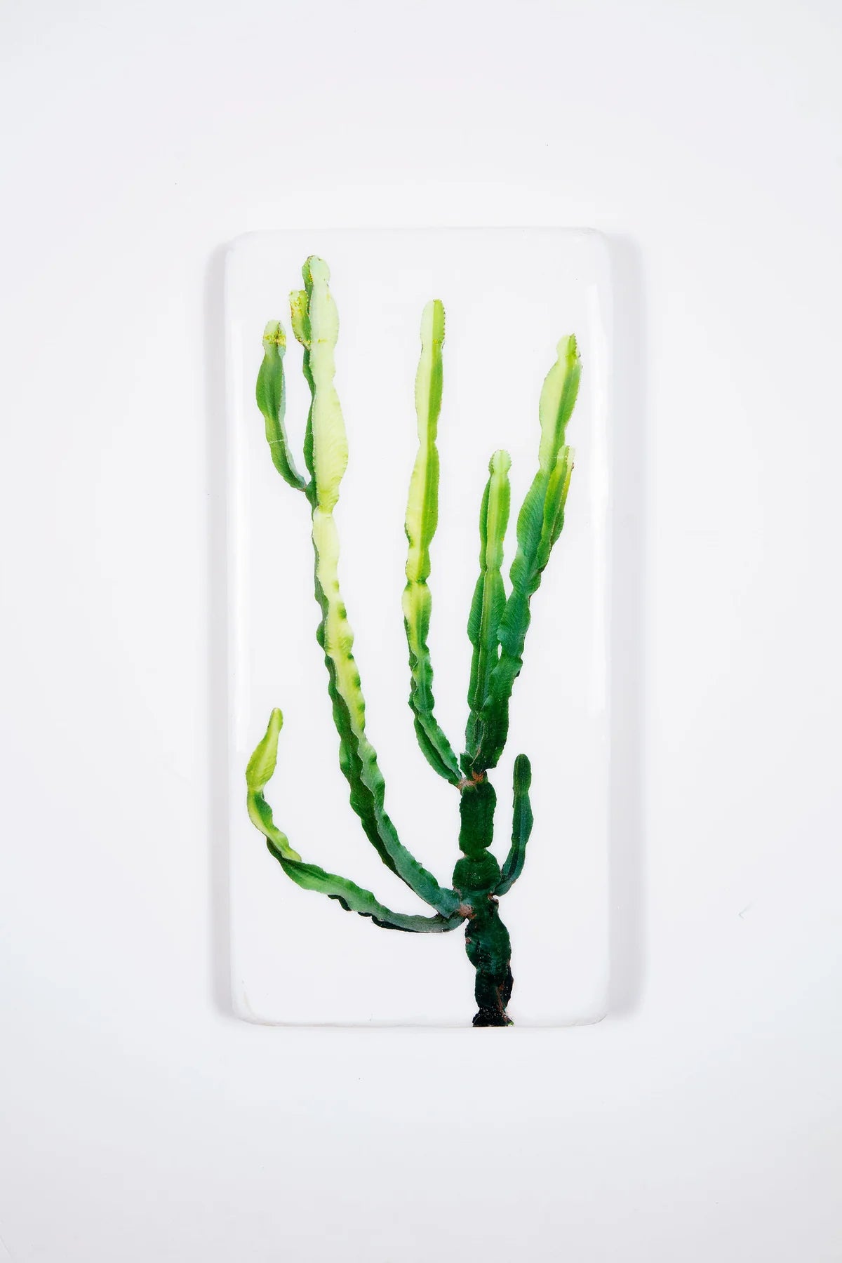 StigerWoods wooden tile Mallorcian Cowboy Cactus