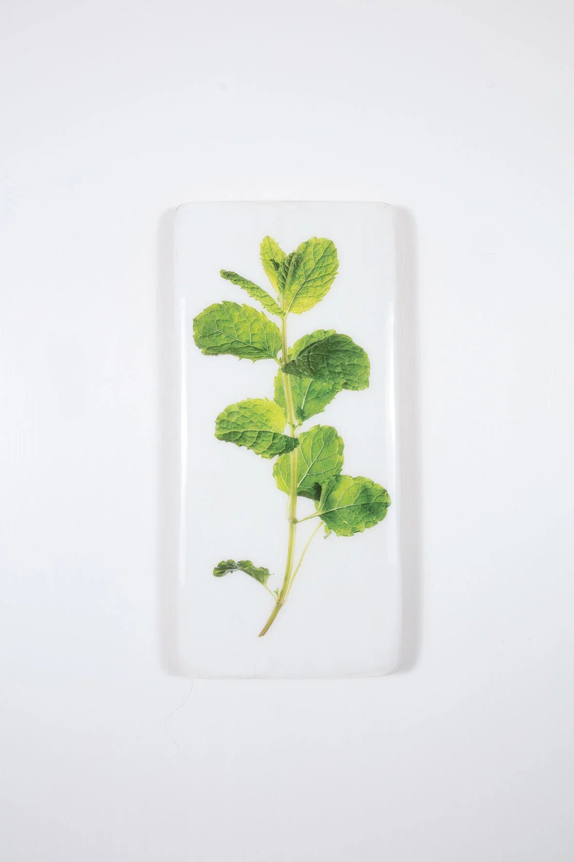 StigerWoods wooden tile Mint