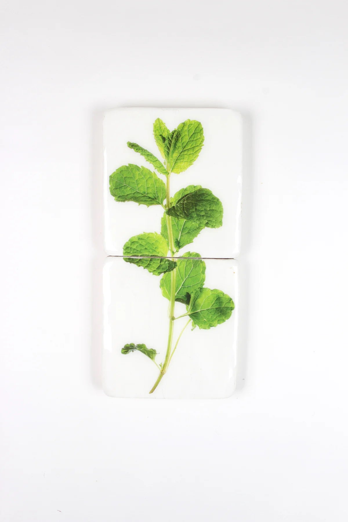 StigerWoods wooden tile Mint