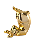 Pols Potten gouden spaarpot Bunny